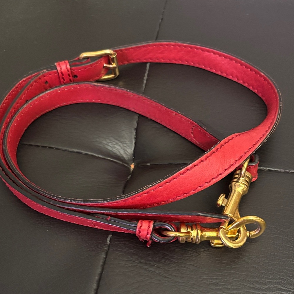 Alexander McQueen Red Leather Purse strap with Gold Accents